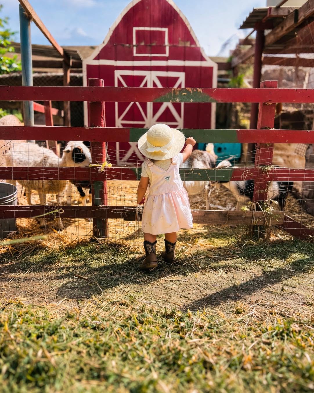 Niña conociendo a los animales frente al granero de Mi Granjita en Rosarito